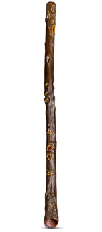 Heartland Didgeridoo (HD269)
